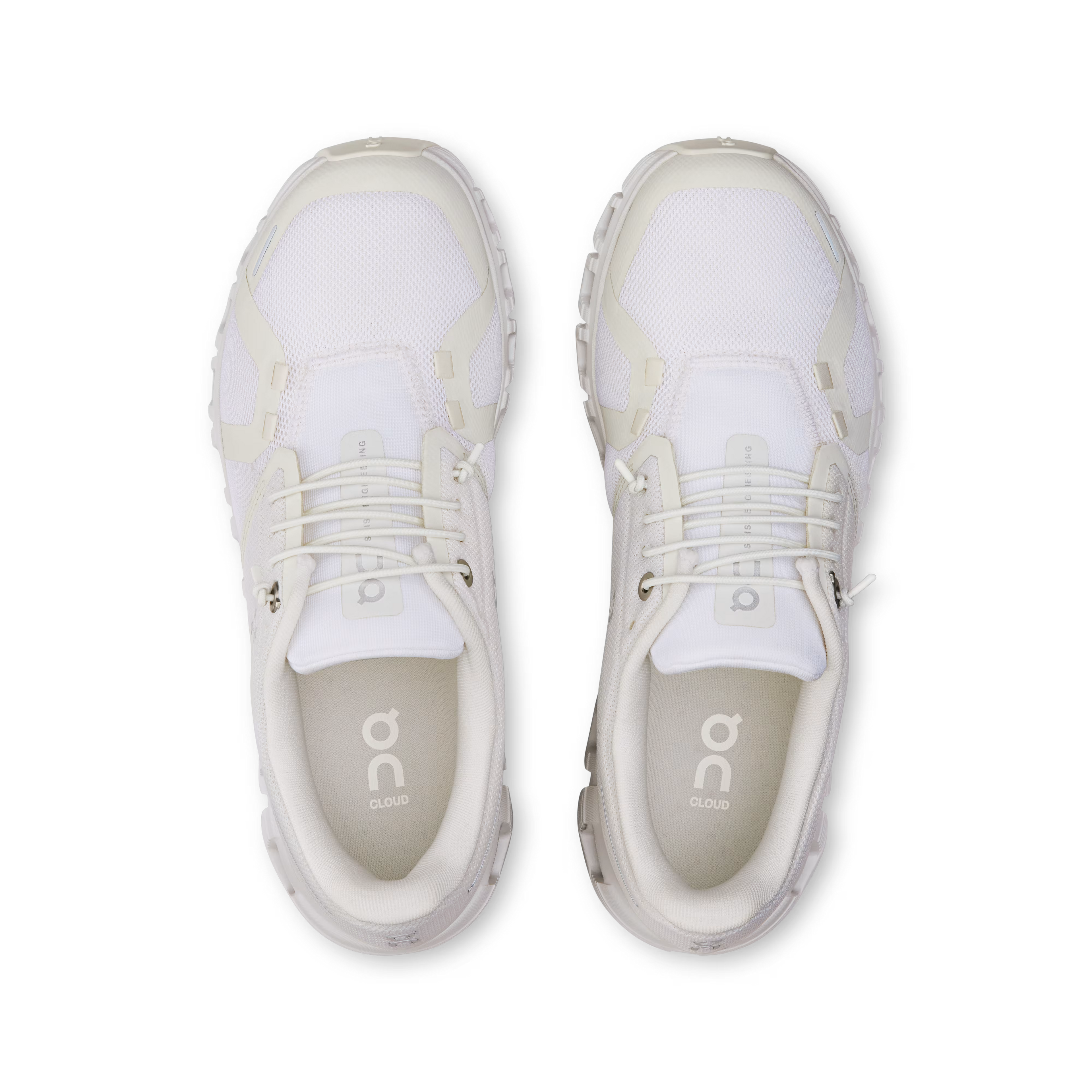 OR CLD6